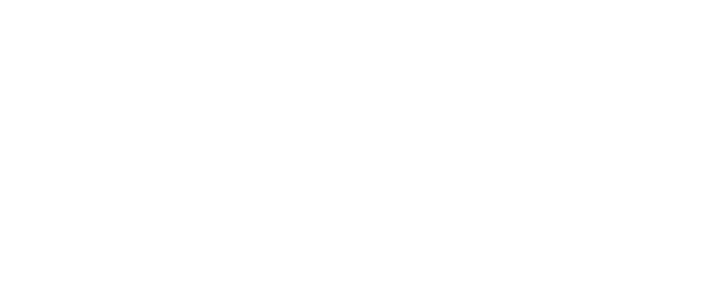 Rapid Logo
